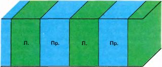 Глаз, мозг, зрение