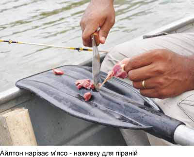 Любов і піраньї