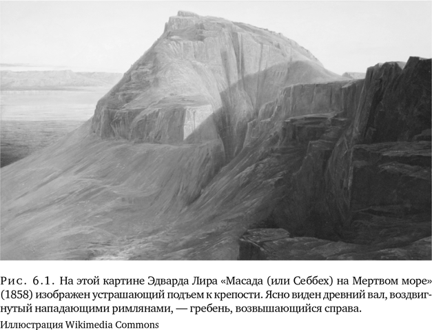 Триумф семян. Как семена покорили растительный мир и повлияли на человеческую цивилизацию