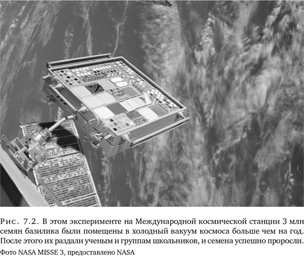 Триумф семян. Как семена покорили растительный мир и повлияли на человеческую цивилизацию