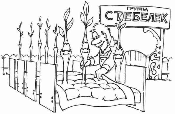 Энциклопедия огородника и садовода