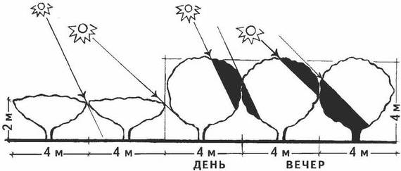 Энциклопедия огородника и садовода