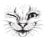 Скорый ветеринарный лечебник. Полный справочник по диагностике и лечению собак и кошек