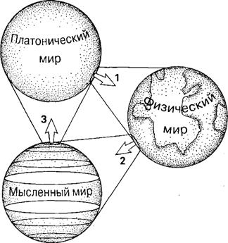 Большое, малое и человеческий разум