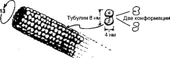 Большое, малое и человеческий разум
