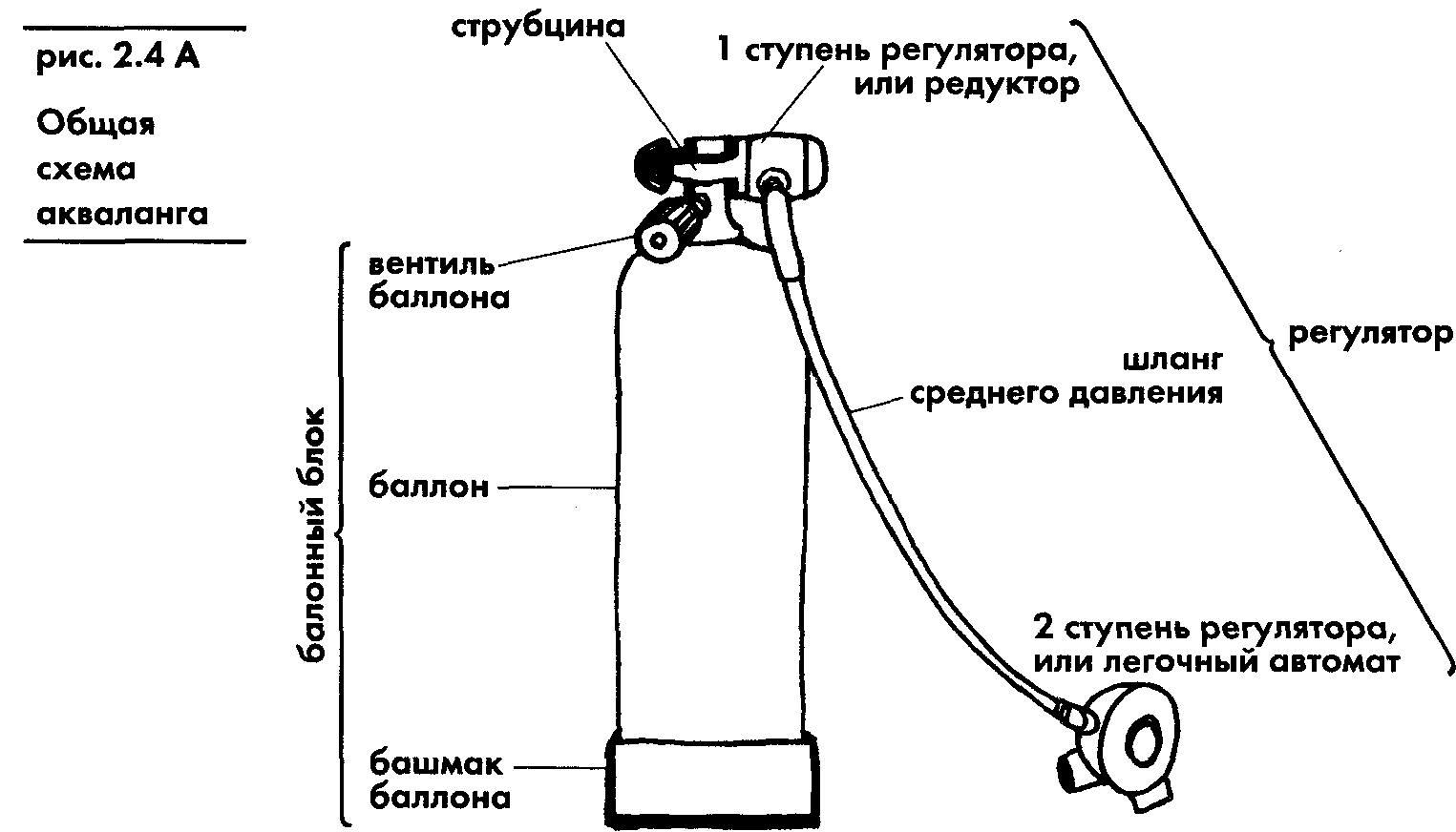 Акваланг и подводное плавание