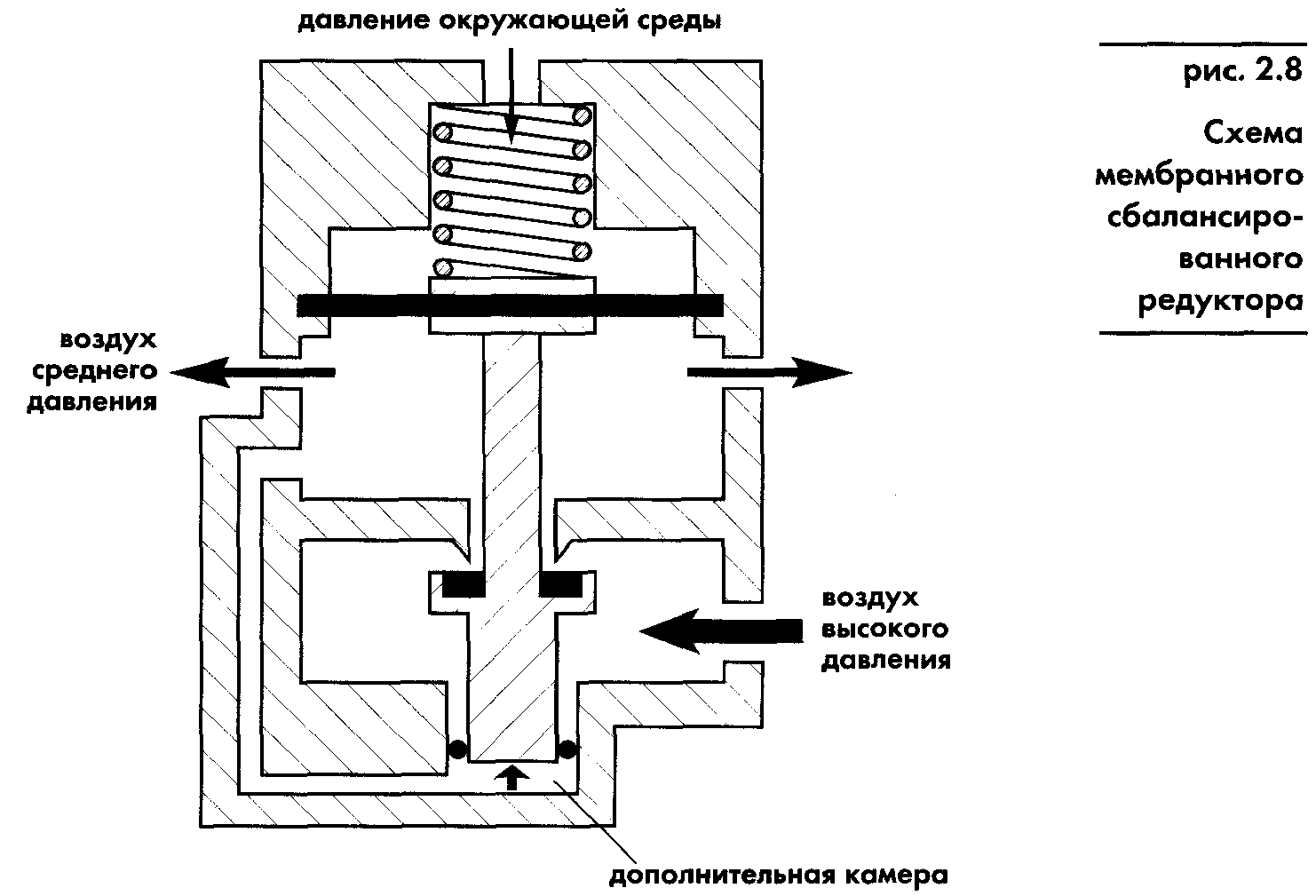 Акваланг и подводное плавание