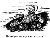 Волны над нами