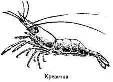 Волны над нами
