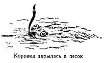 Волны над нами