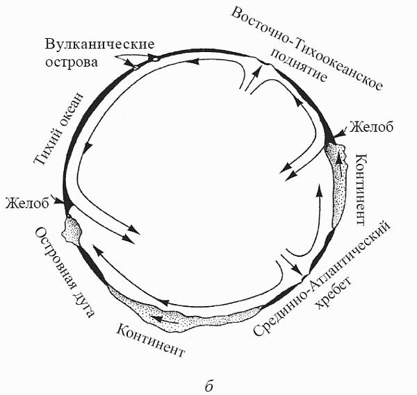 Удивительная палеонтология. История земли и жизни на ней