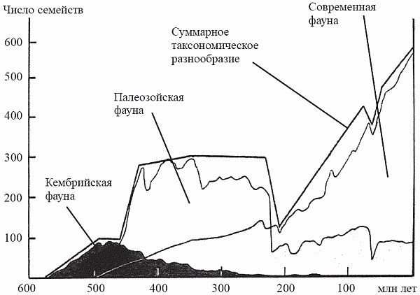Удивительная палеонтология. История земли и жизни на ней