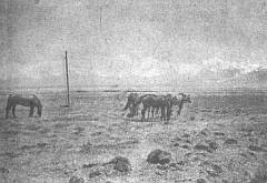 В горах Памира