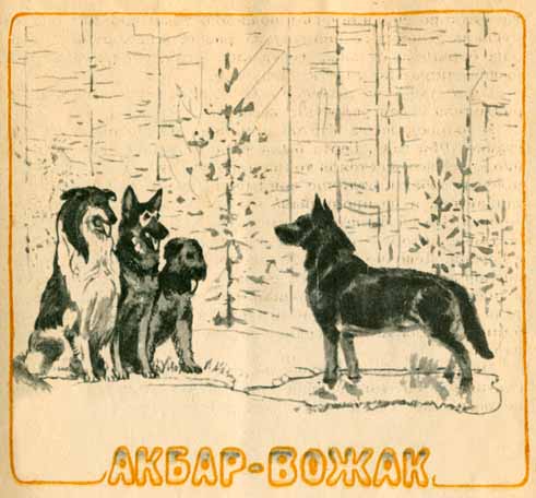 Мой Акбар