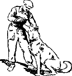 Дрессировка служебных собак