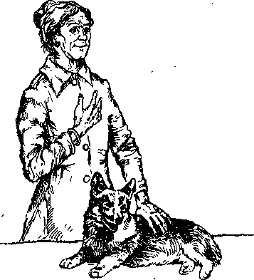 Среди Йоркширских холмов